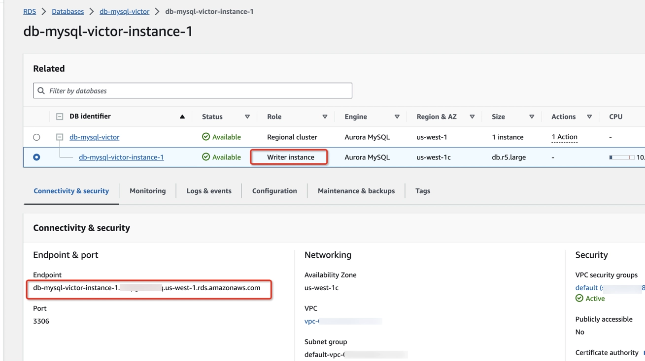 Find RDS endpoint name